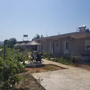 Pensjonat Rey Garden